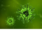 Tile - Coronavirus - Covid-19 (Pixabay - Image by Arek Socha - 1812092)