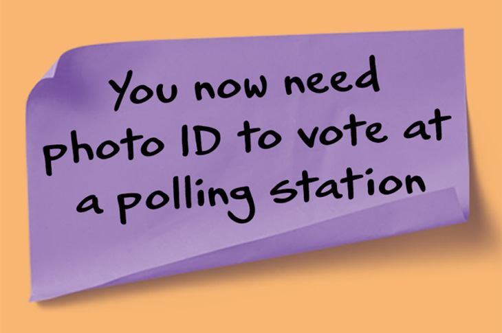 Voting - Photo ID needed to vote (730x485px)