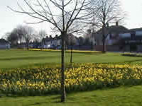 Broadwater Green