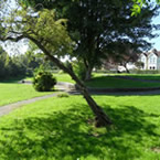 Cross Roads Rest Gardens small