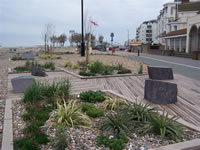 Splash Point Beach Garden