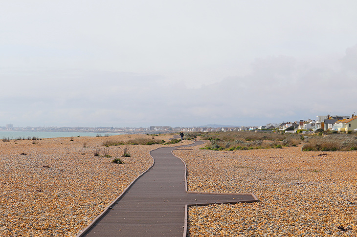 PR20-007 - Works on the new section of the Shoreham boardwalk will commence in February (looking west along boardwalk)