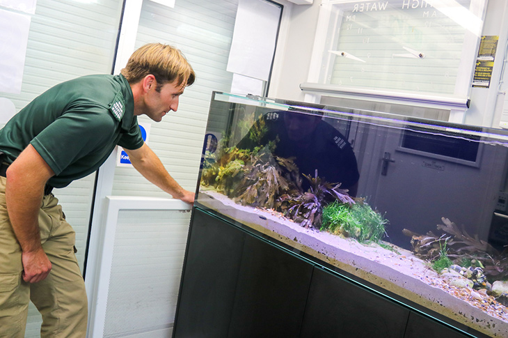 PR21-120 - Rob Dove, Senior Coastal Warden, looking into the Rockpool Reef tank