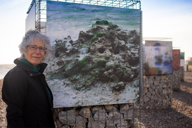 Artist Anne Krinsky, with her artwork 'Wetlands Shifting Shorelines', at the Seafront Gallery in Worthing