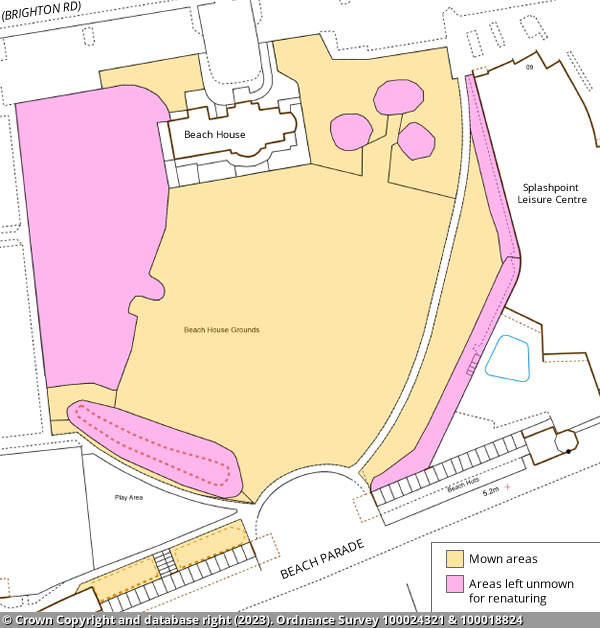 Beach House Grounds map (2023)