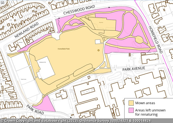 Homefield Park map (2023)