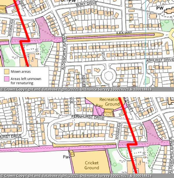 Ilex Way map