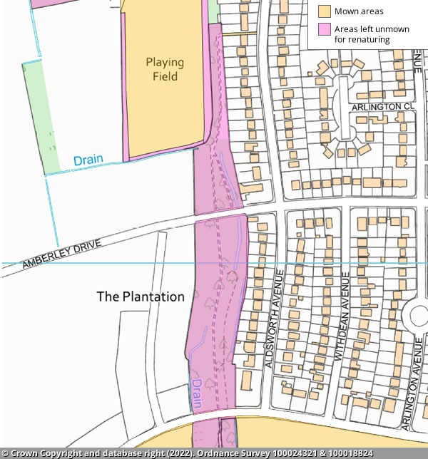 The Plantation map