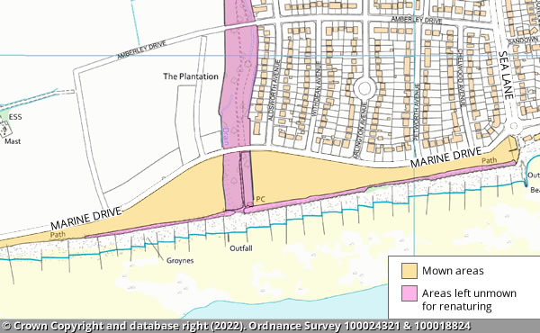 Goring Greensward map