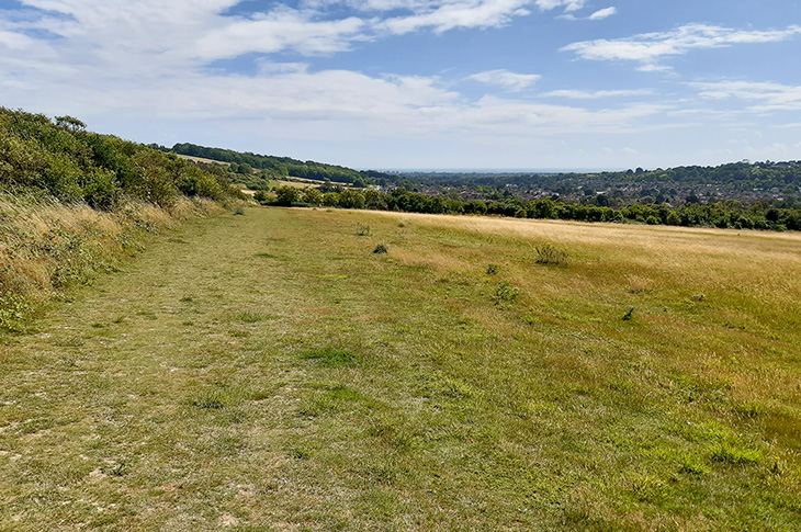 Cissbury Fields, Worthing, looking towards the sea