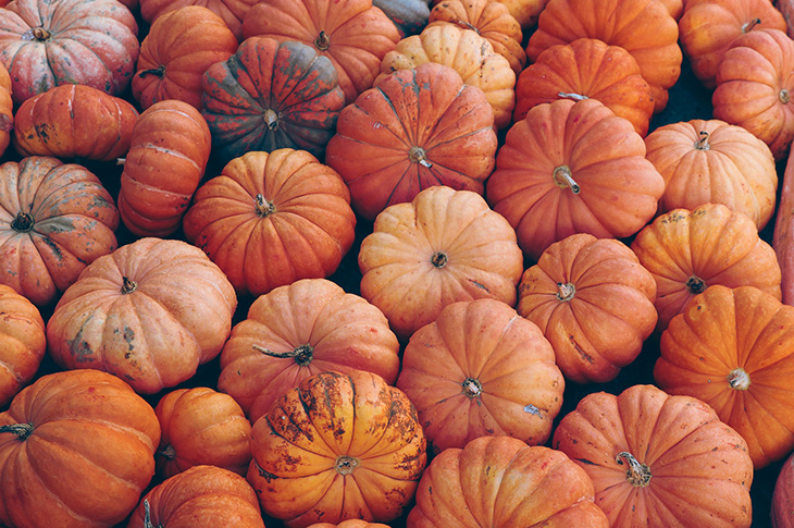 2022-10-25 - pumpkins - halloween (Pixabay - 7496159)