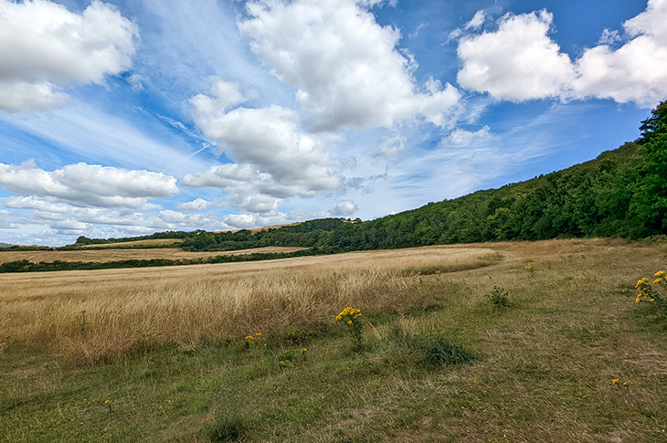 Cissbury Fields, Worthing