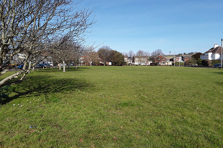 Allington Open - Space (1)