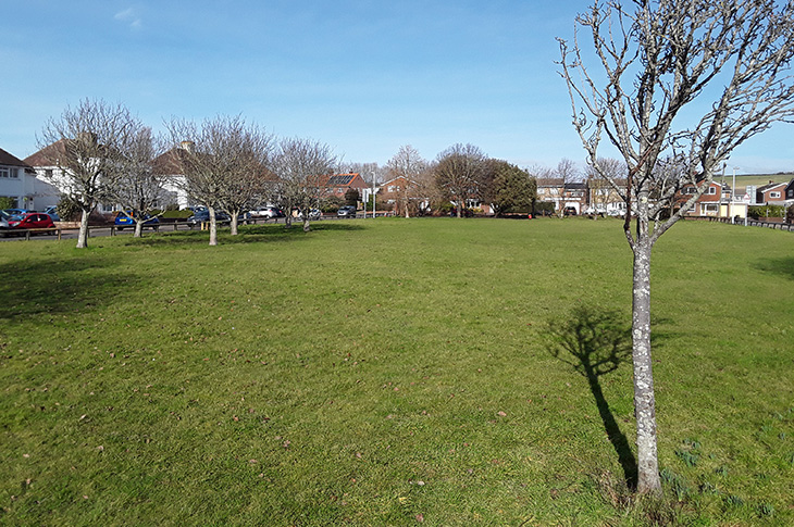 Allington Open - Space (2)