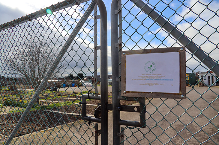 Humber Avenue Community Allotments