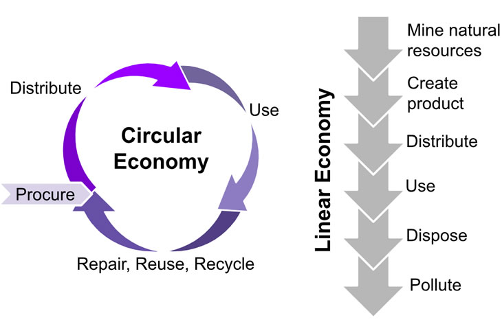 Circular economy versus a linear economy (diagram)
