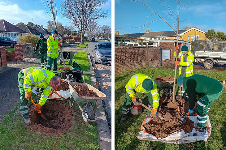 PR24-011 - Members of the council's parks team planting trees in Worthing