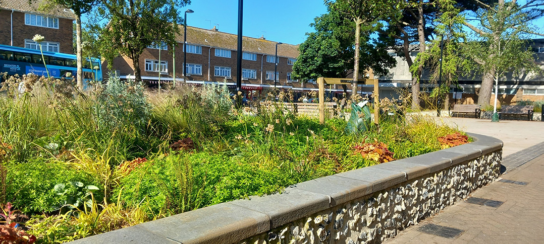 Planting in the new-look Southwick Square - June 2024 (4)