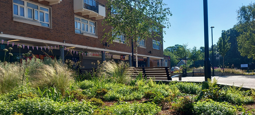Planting in the new-look Southwick Square - June 2024 (5)