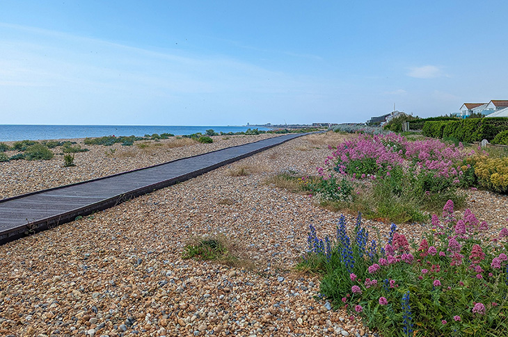 Shoreham Beach Local Nature Reserve