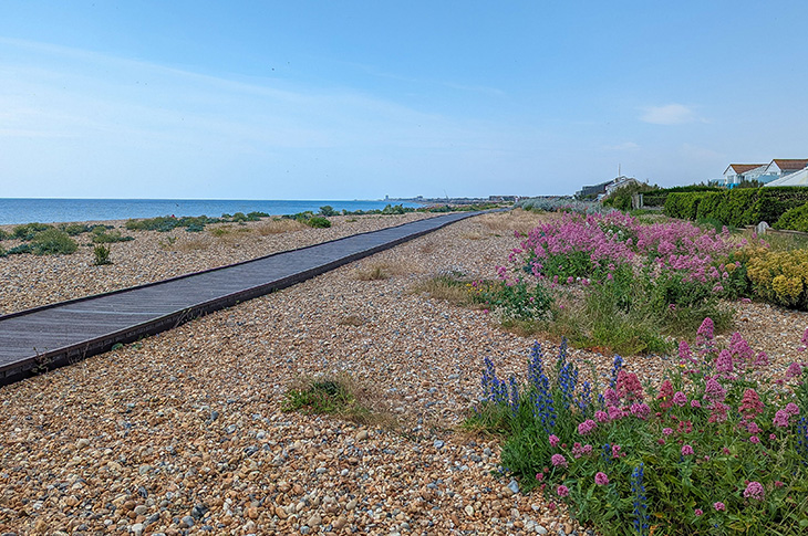 PR25-051 - Shoreham Beach Local Nature Reserve