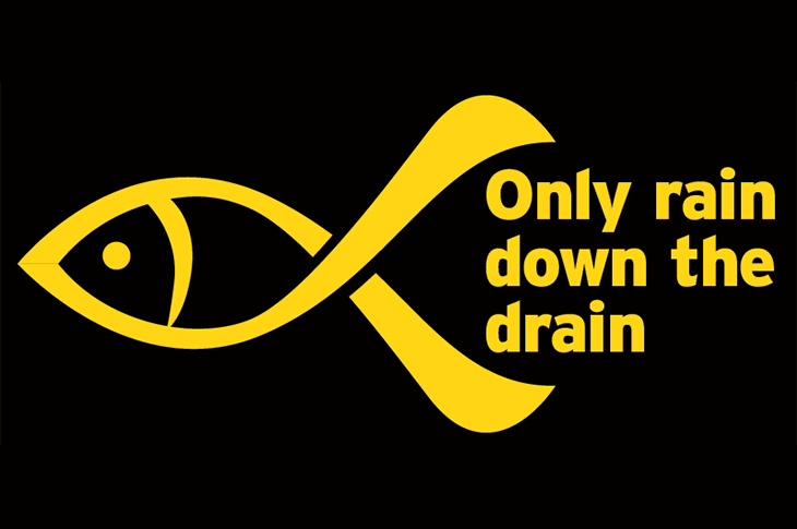 Yellow fish campaign logo (730x485px)