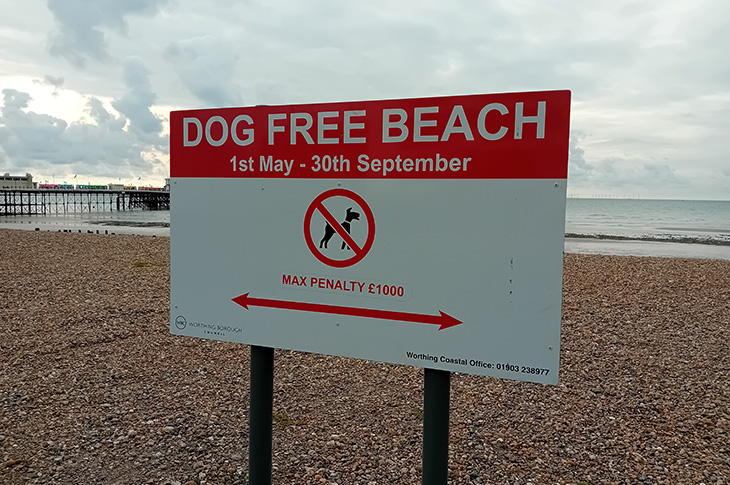 Dog free beach sign (£1,000 fine)