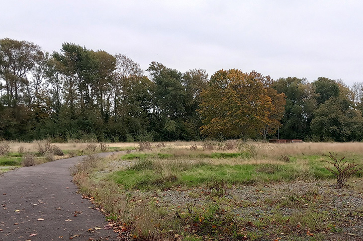 PR25-076 - former Caravan and Motorhome Club site in Titnore Way, Worthing (3)