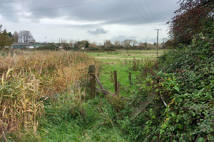 Old Salts Farm - the land at Old Salts Farm as it currently looks (1)