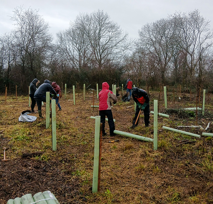PR26-006 - Volunteers helping plant young trees at Lancing Ring