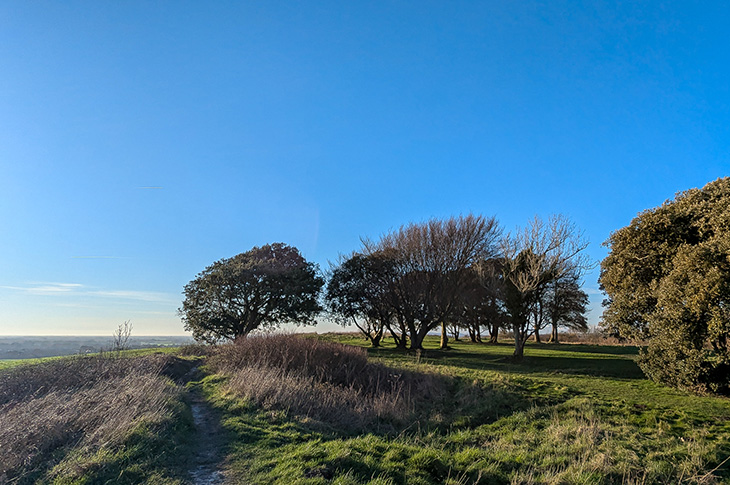 Highdown Hill