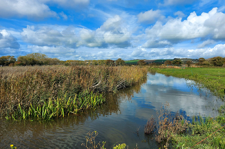 Sompting Brooks Nature Trail (north of Brooklands Park, Worthing)