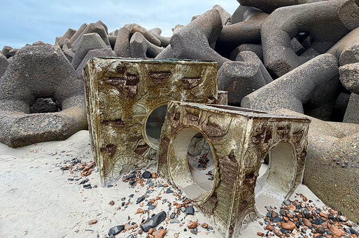 Southwick Reef
