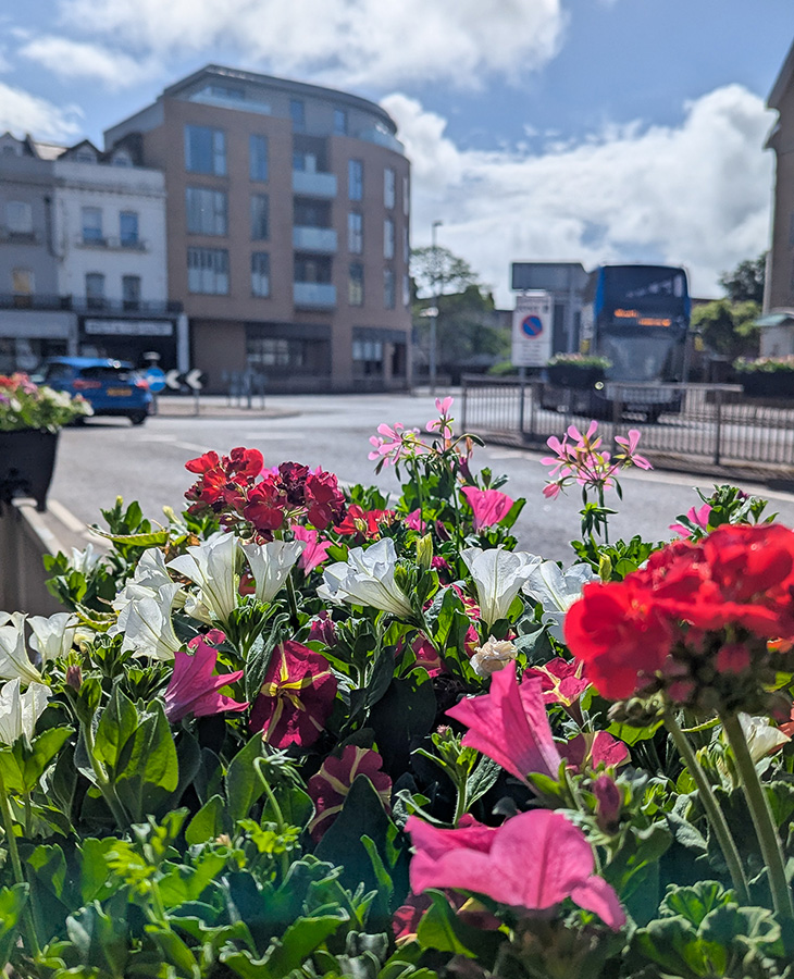 PR26-049 - Flowers in North Street, Worthing
