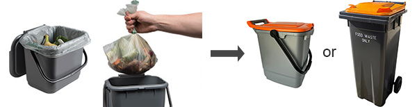 Food waste - transfer bag to the outside bin (600px)
