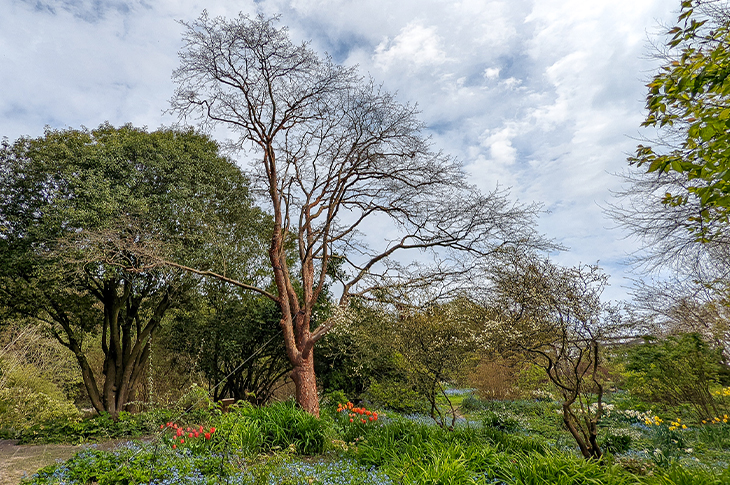 PR26-069 - Highdown Gardens