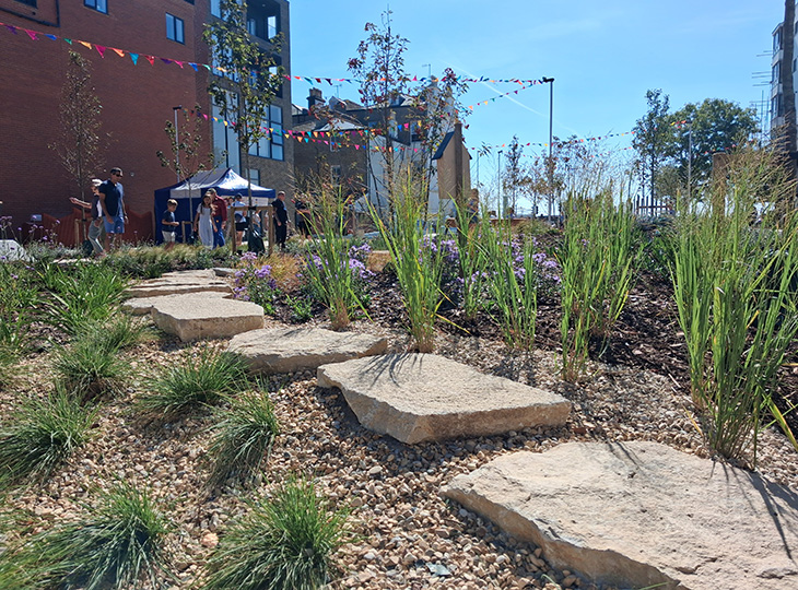 Montague Gardens - One of the planted areas - 1 (05-09-2026)