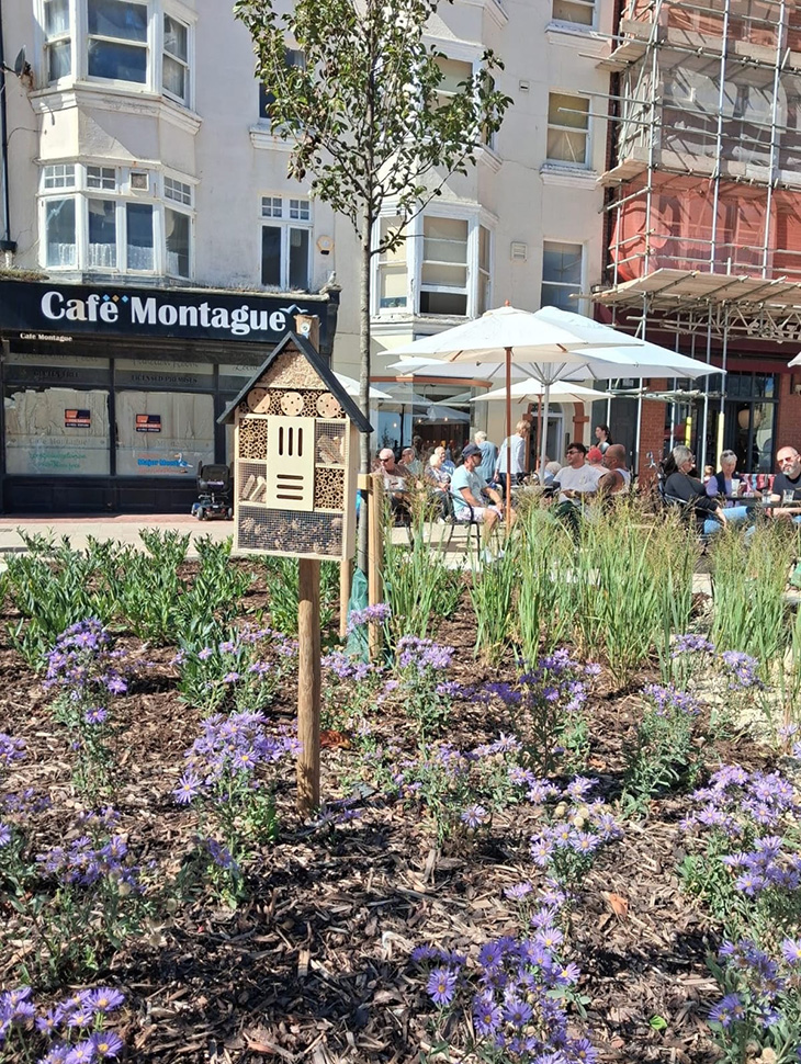 Montague Gardens - One of the planted areas - 3 (05-09-2026)