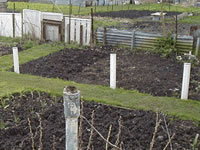 Allotments Chesswood