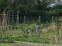 St. Andrews Rd Allotments 200 x 150