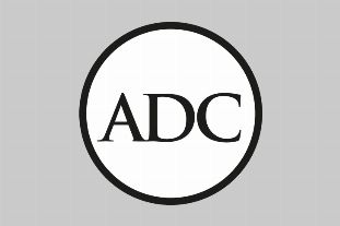 Labour retains control of Adur District Council