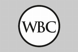 No single party in overall control of Worthing Borough Council