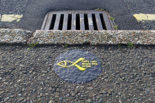 Rollout of the new yellow fish campaign continues in Adur and Worthing