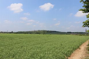 Worthing Borough Council wins latest battle to protect Chatsmore Farm